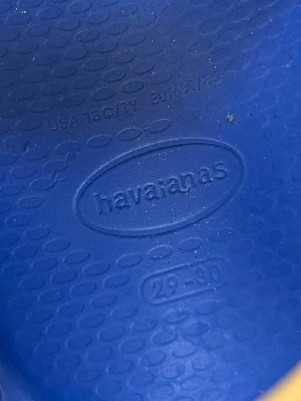 Havaianas clog sandals